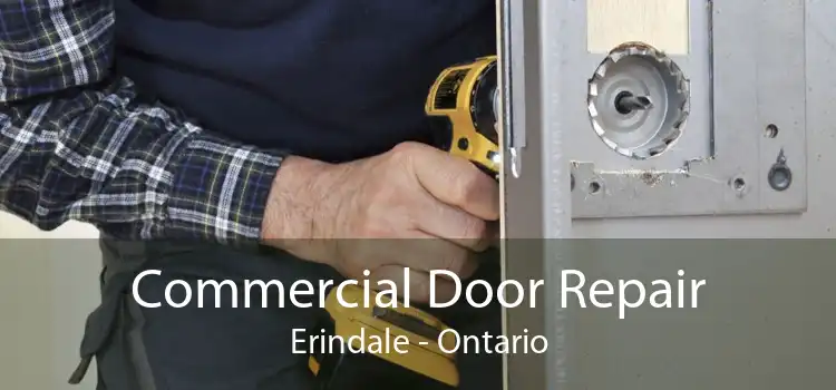 Commercial Door Repair Erindale - Ontario