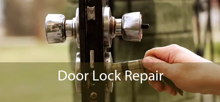 Door Lock Repair