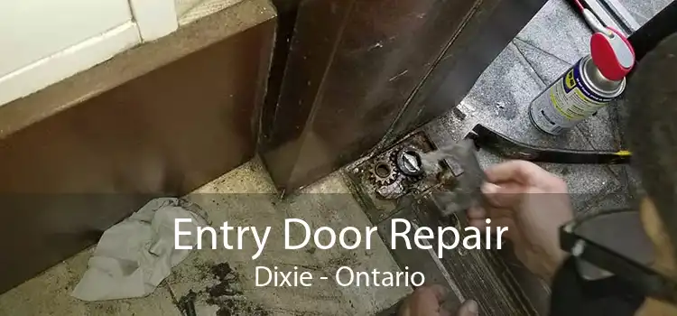 Entry Door Repair Dixie - Ontario