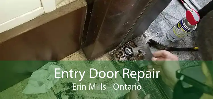 Entry Door Repair Erin Mills - Ontario