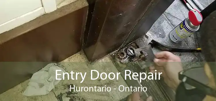 Entry Door Repair Hurontario - Ontario