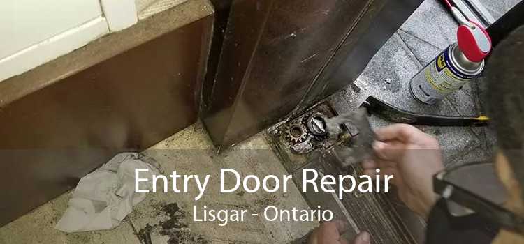Entry Door Repair Lisgar - Ontario