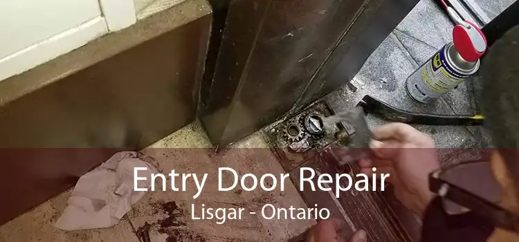Entry Door Repair Lisgar - Ontario