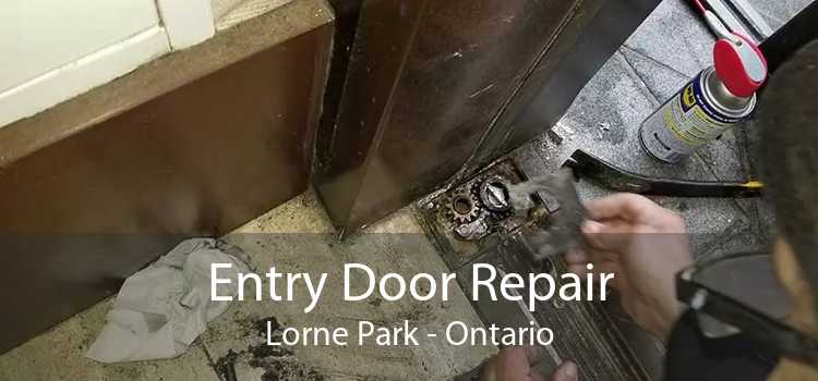 Entry Door Repair Lorne Park - Ontario