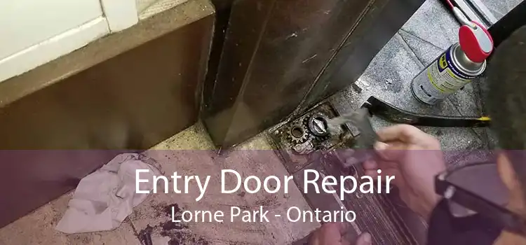Entry Door Repair Lorne Park - Ontario