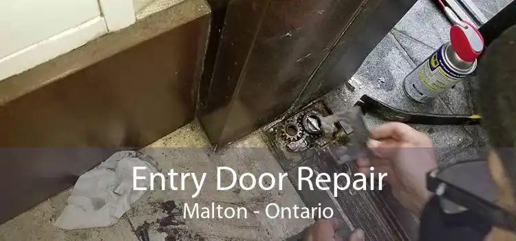 Entry Door Repair Malton - Ontario