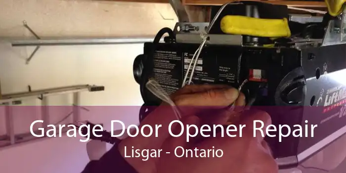 Garage Door Opener Repair Lisgar - Ontario