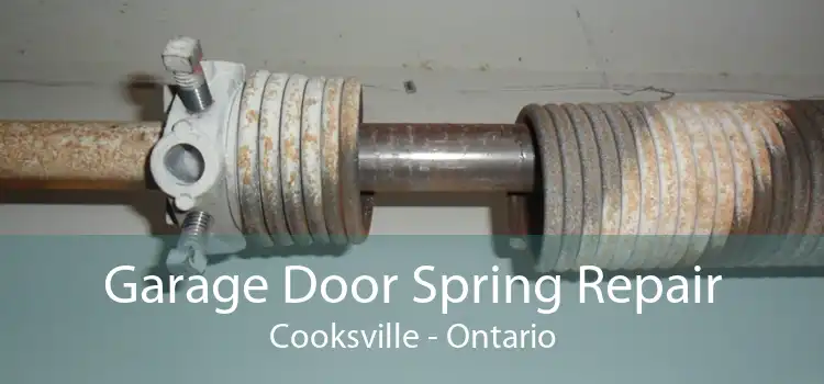 Garage Door Spring Repair Cooksville - Ontario