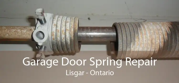 Garage Door Spring Repair Lisgar - Ontario
