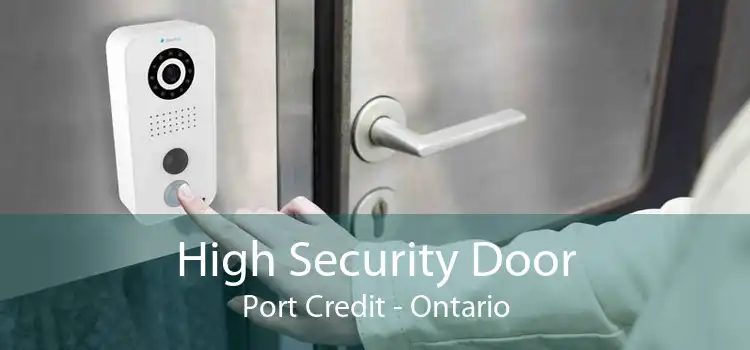 High Security Door Port Credit - Ontario