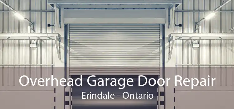 Overhead Garage Door Repair Erindale - Ontario
