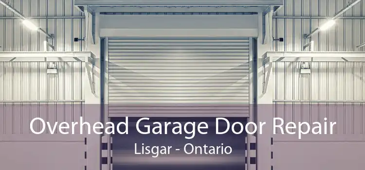 Overhead Garage Door Repair Lisgar - Ontario
