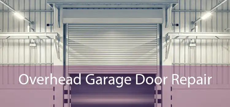 Overhead Garage Door Repair 