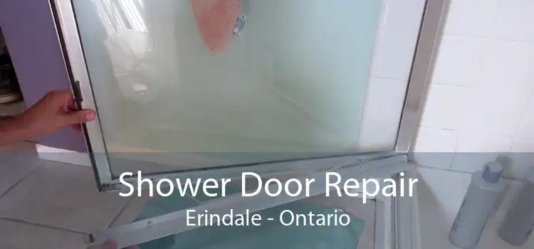 Shower Door Repair Erindale - Ontario