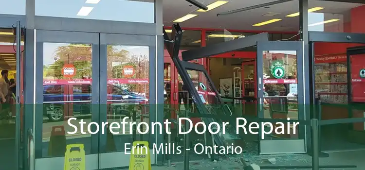 Storefront Door Repair Erin Mills - Ontario