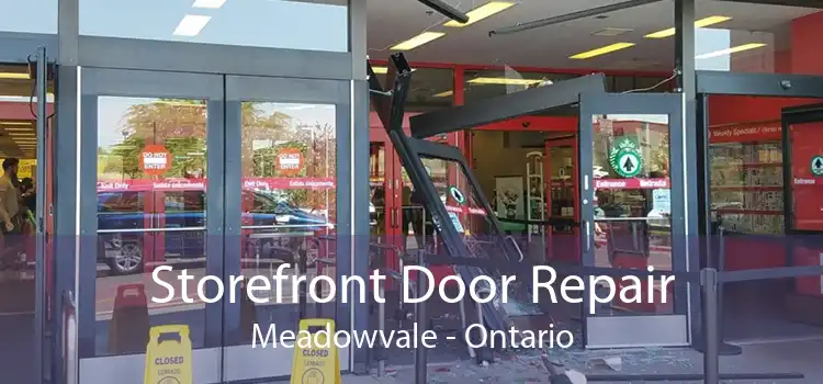 Storefront Door Repair Meadowvale - Ontario