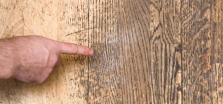 Wood Door Scratch Repair in Lakeview