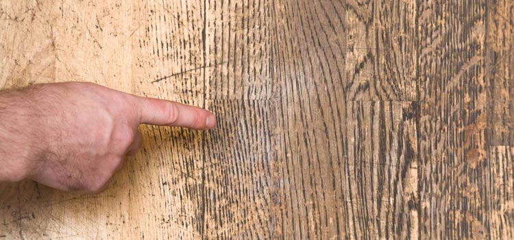 Wood Door Scratch Repair in Malton